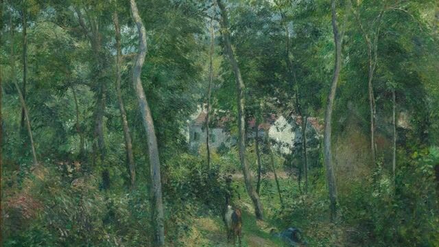 The Forest of Fontainebleau