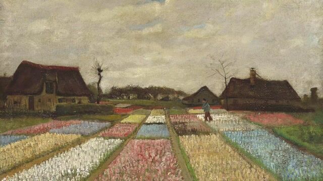 Flower Beds in Holland