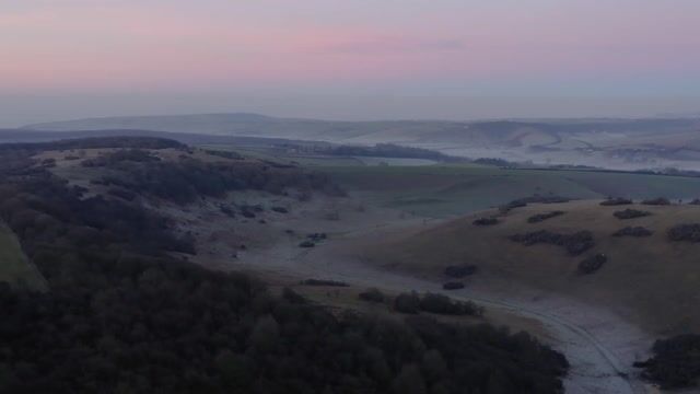 10 Minute Morning Yoga with Pigs