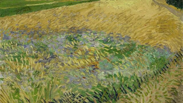 Wheatfield with Cornflowers