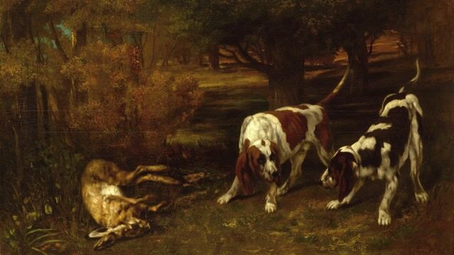 Hounds and Roe Deer