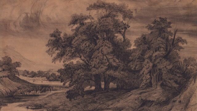 Landscape with Large Trees