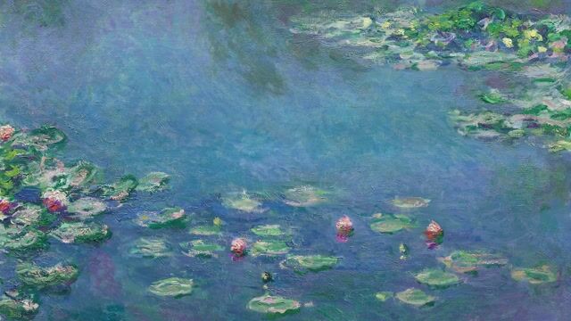 Water Lilies
