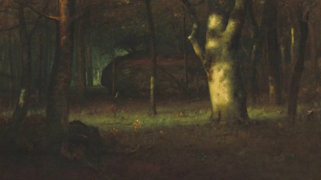 The Forest of Fontainebleau