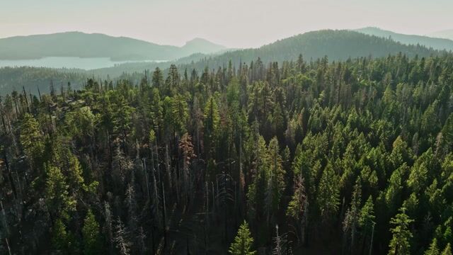 Yoga For Your Lunch Break