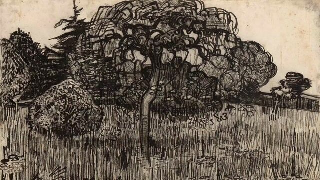 Garden with Weeping Willow