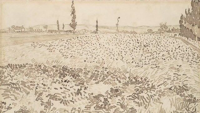 Field with Flowers near Arles