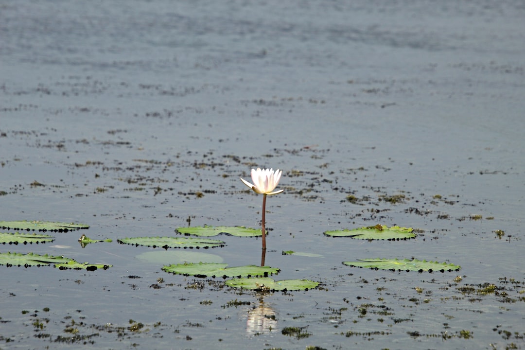 부정 감정 해소
