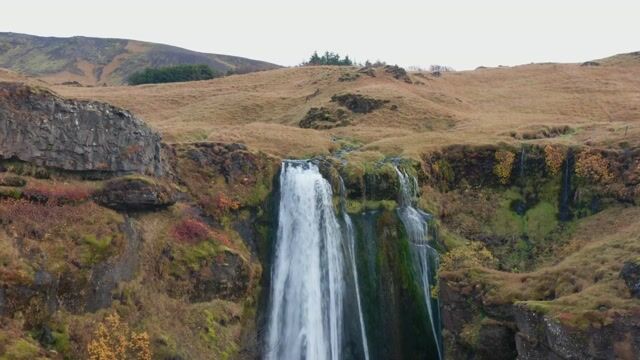 Yoga to Stretch the Hips Hamstrings