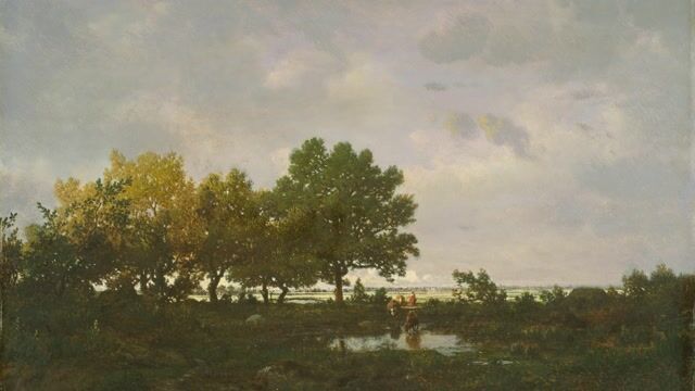 The Edge of a Forest