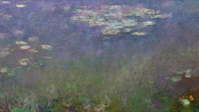 Water Lilies