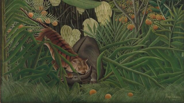 The Equatorial Jungle