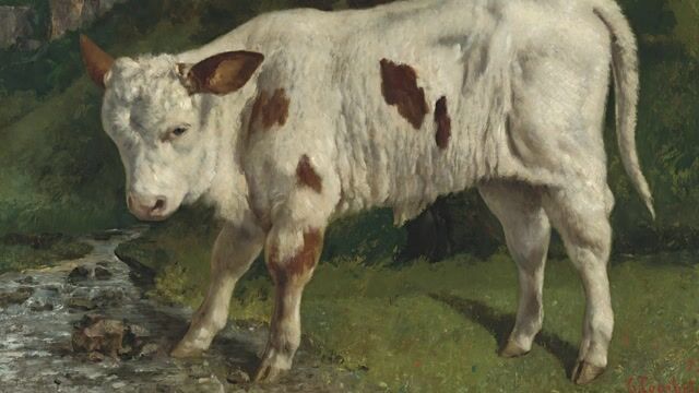 The White Calf
