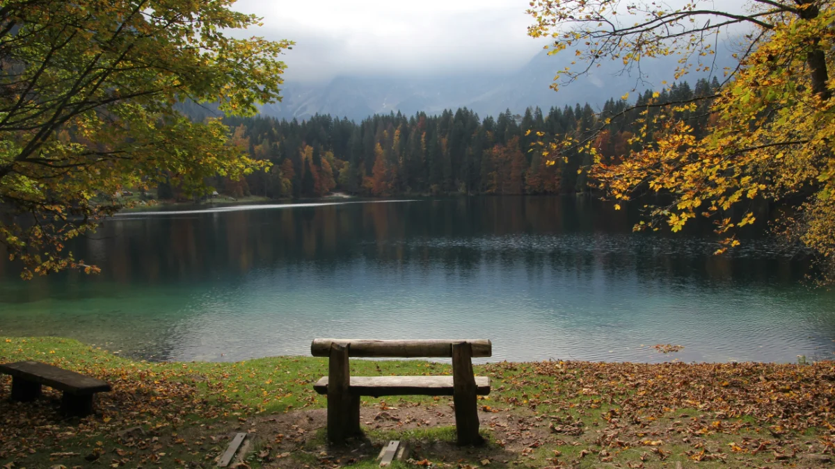 몸과 마음 정화 명상