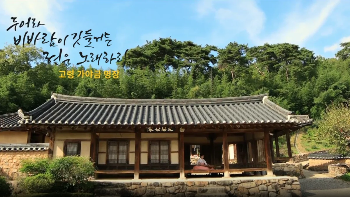 비바람 속에서도 이어지는 선율 – 고령 가야금 명인 연주
