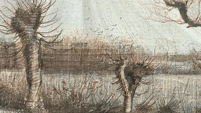 혼란 속의 평온