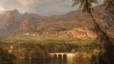 고요한 숲속 명상