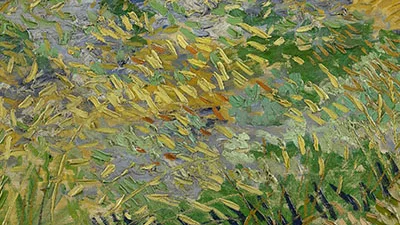 작은 행복의 시력