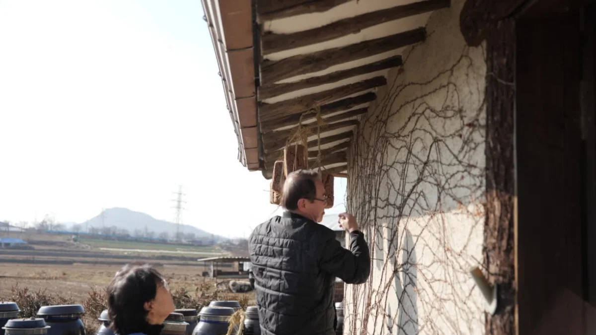 장 담그기 (간장·된장 만들기)