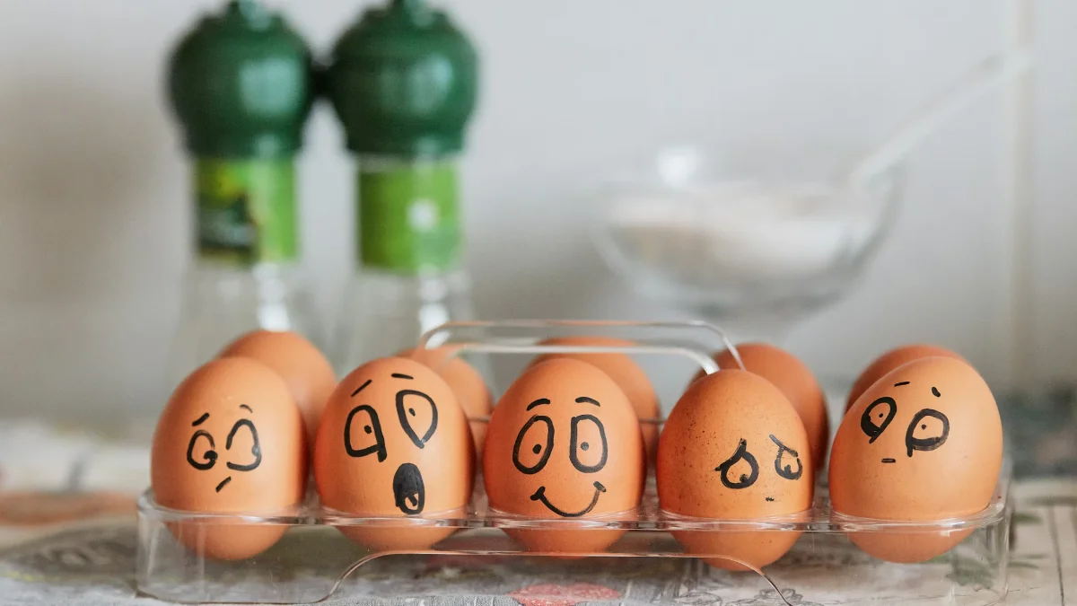 감정과 욕구 명상