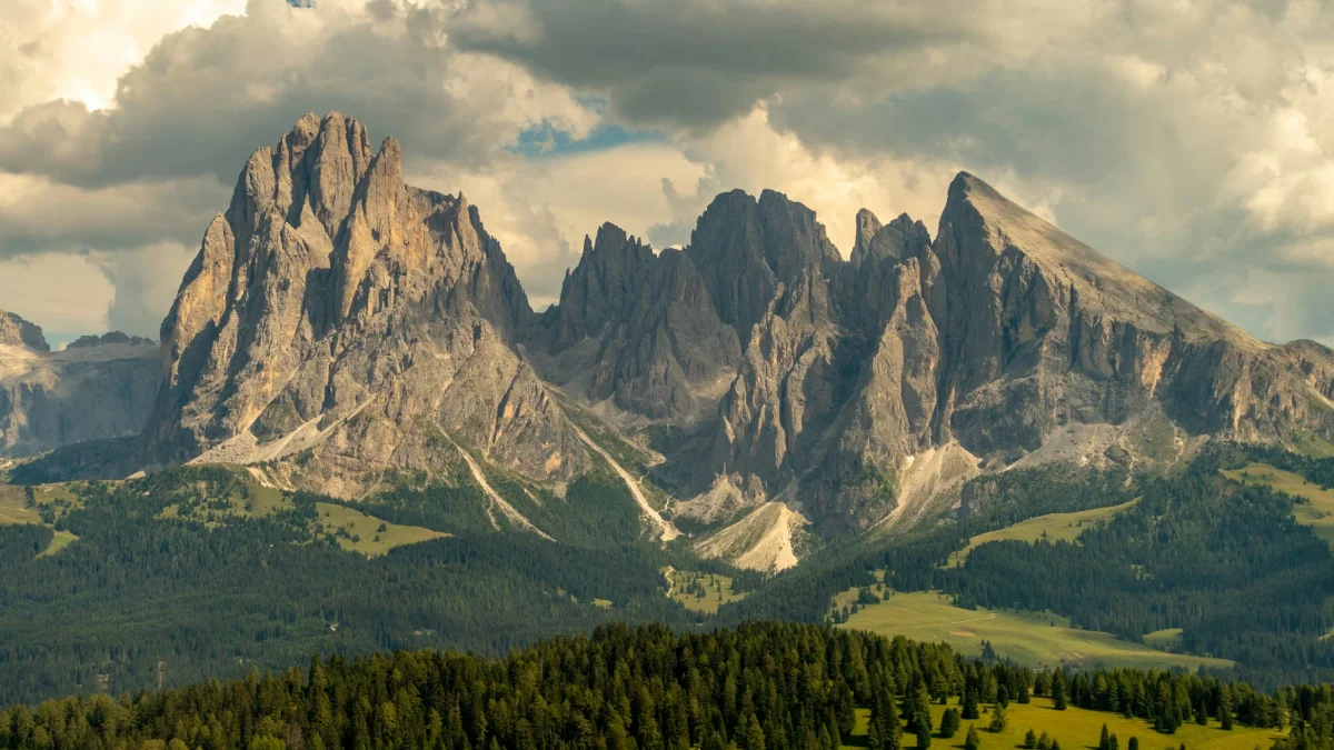 의식 전환 명상