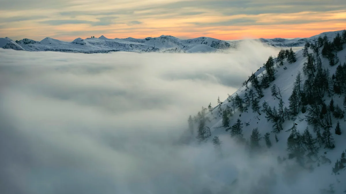 감정 정화 명상