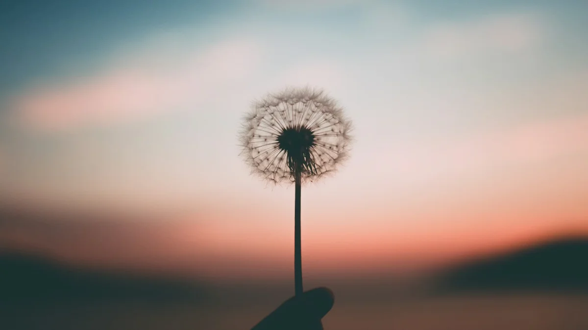 내가 명상하는 이유 마스터다애 최종본