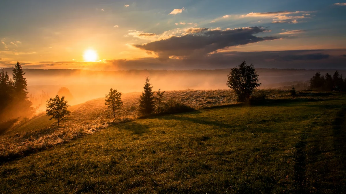 아침의 긍정 명상