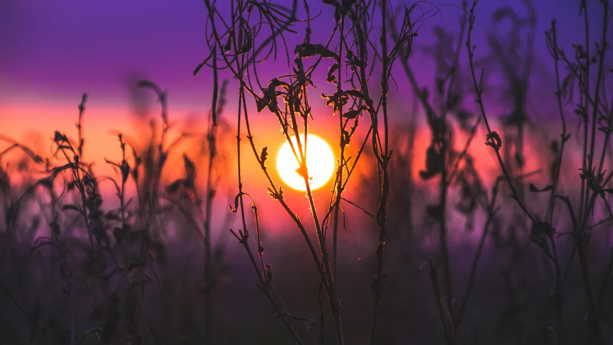 스트레스와 긍정적 관점