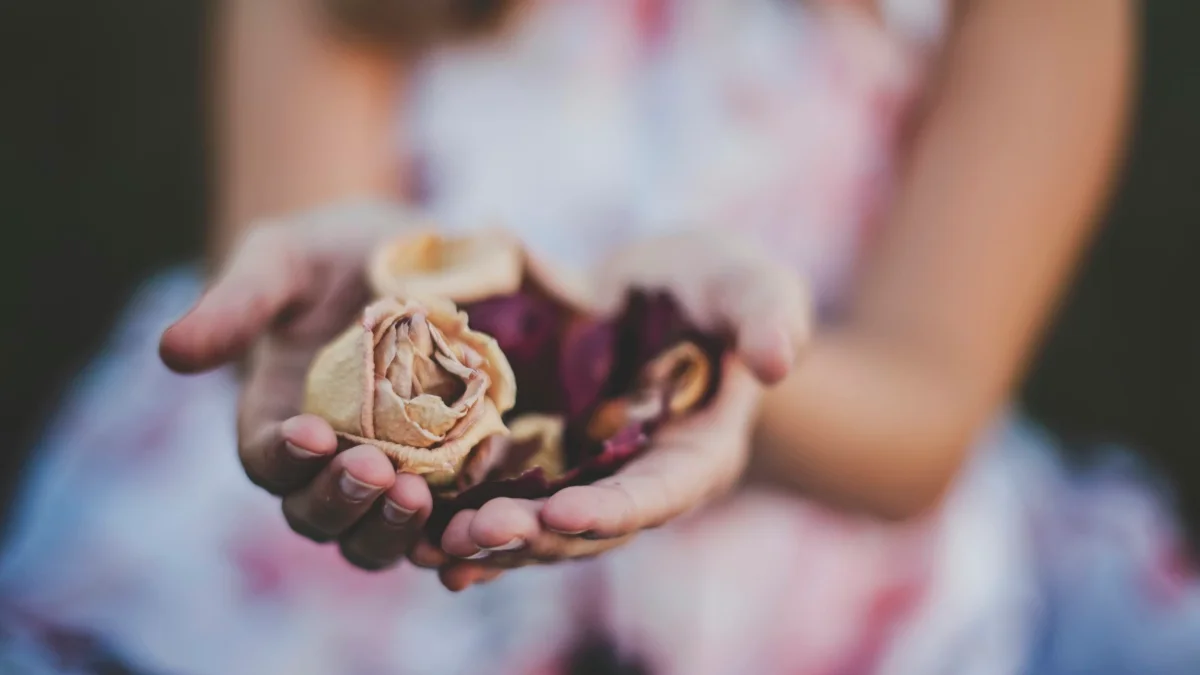 브레인아로마 치유명상 라벤더편 마스터다애 최종본