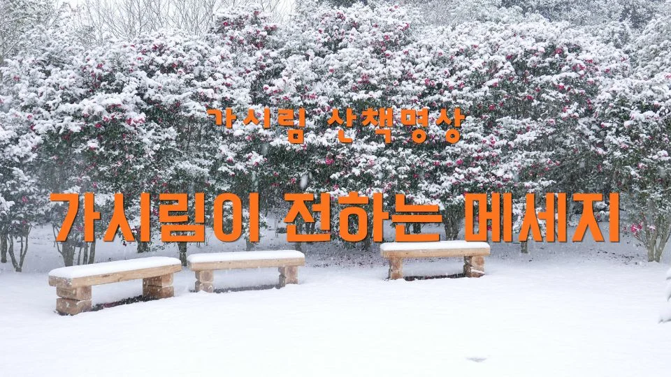 가시림이 전하는 메세지