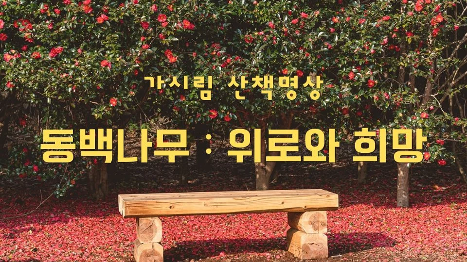 가시림 동백나무_위로와 희망