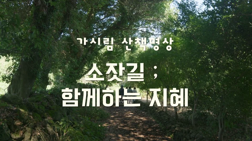 가시림 소잣길_함께하는 지혜