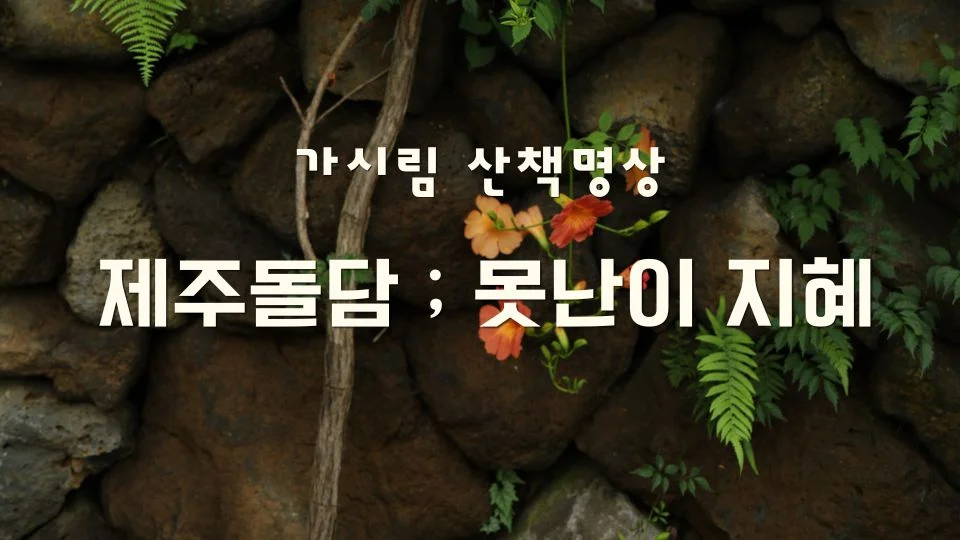 가시림 제주돌담_못난이의 지혜