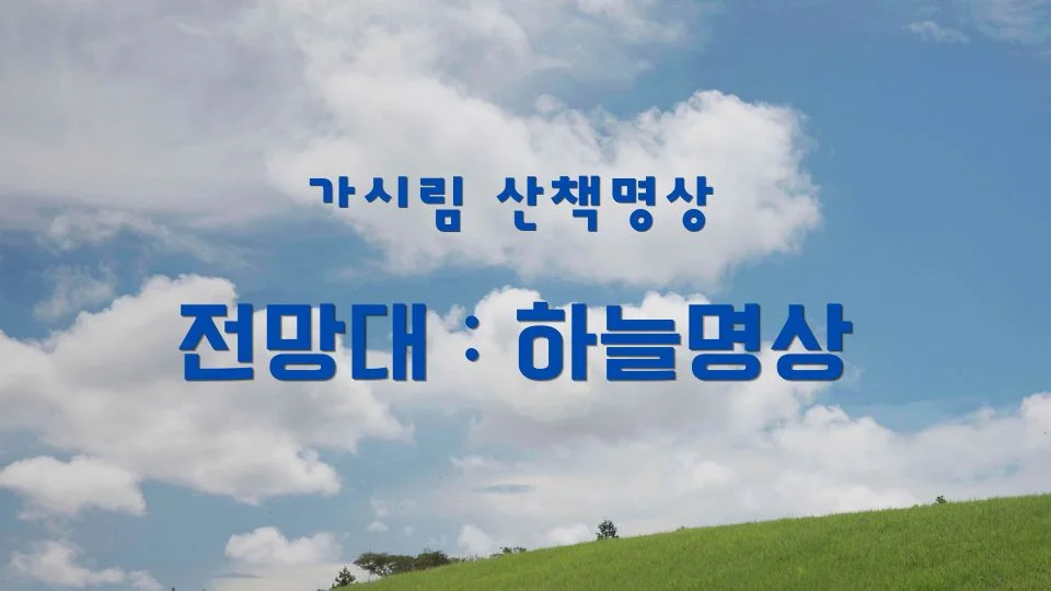 가시림 전망대 _ 하늘명상