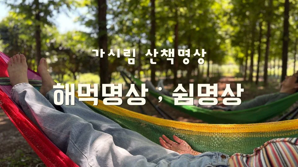 가시림 해먹명상 _쉼명상