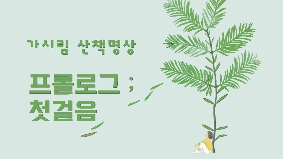 가시림 산책명상 _ 첫걸음