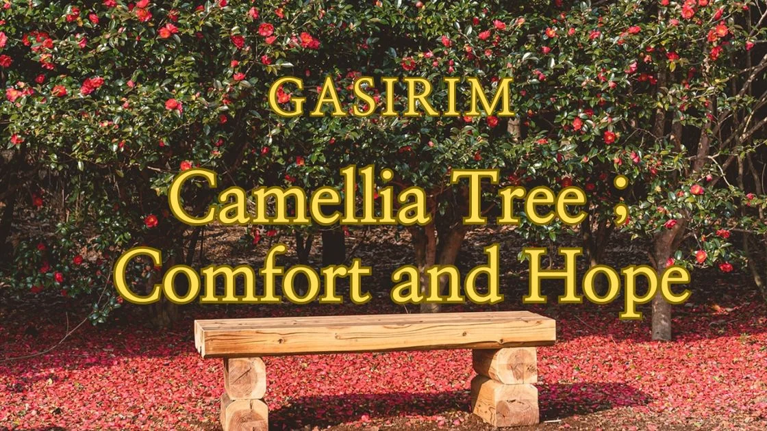 4. Gasirim Camellia Tree — Comfort and Hope
