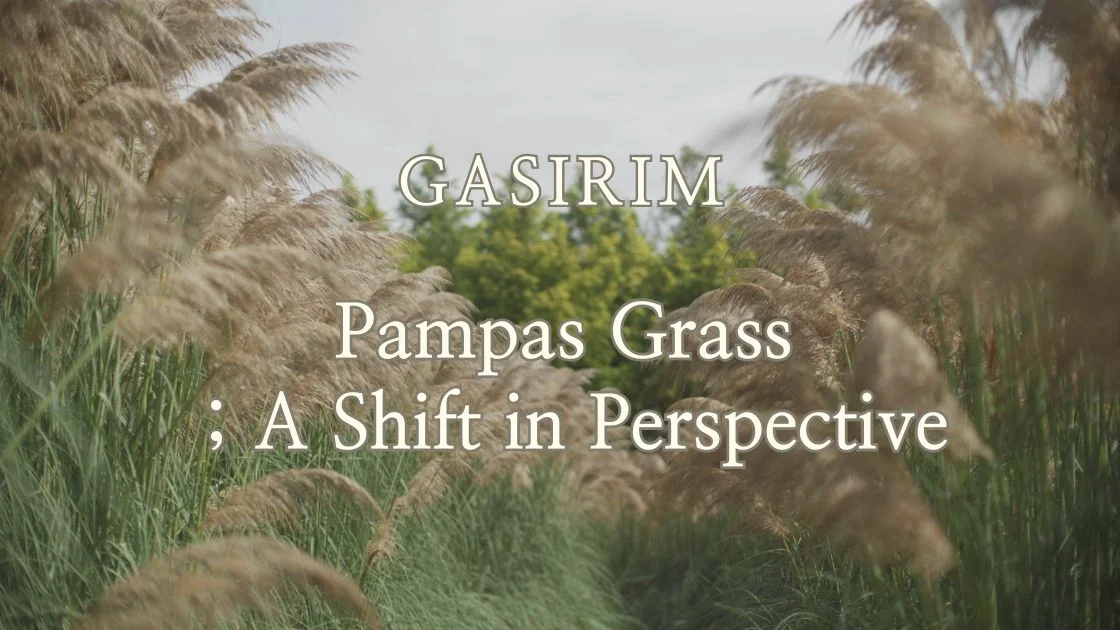 7. Gasirim Pampas Grass — A Shift in Perspective