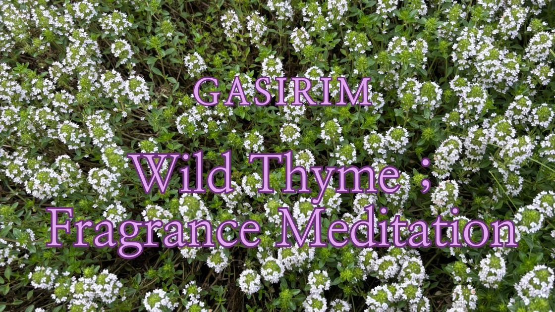 10. Gasirim Wild Thyme — Fragrance Meditation