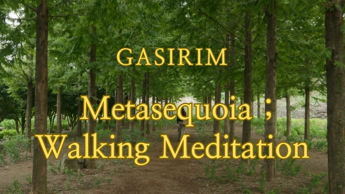 11. Gasirim Metasequoia — Walking Meditation